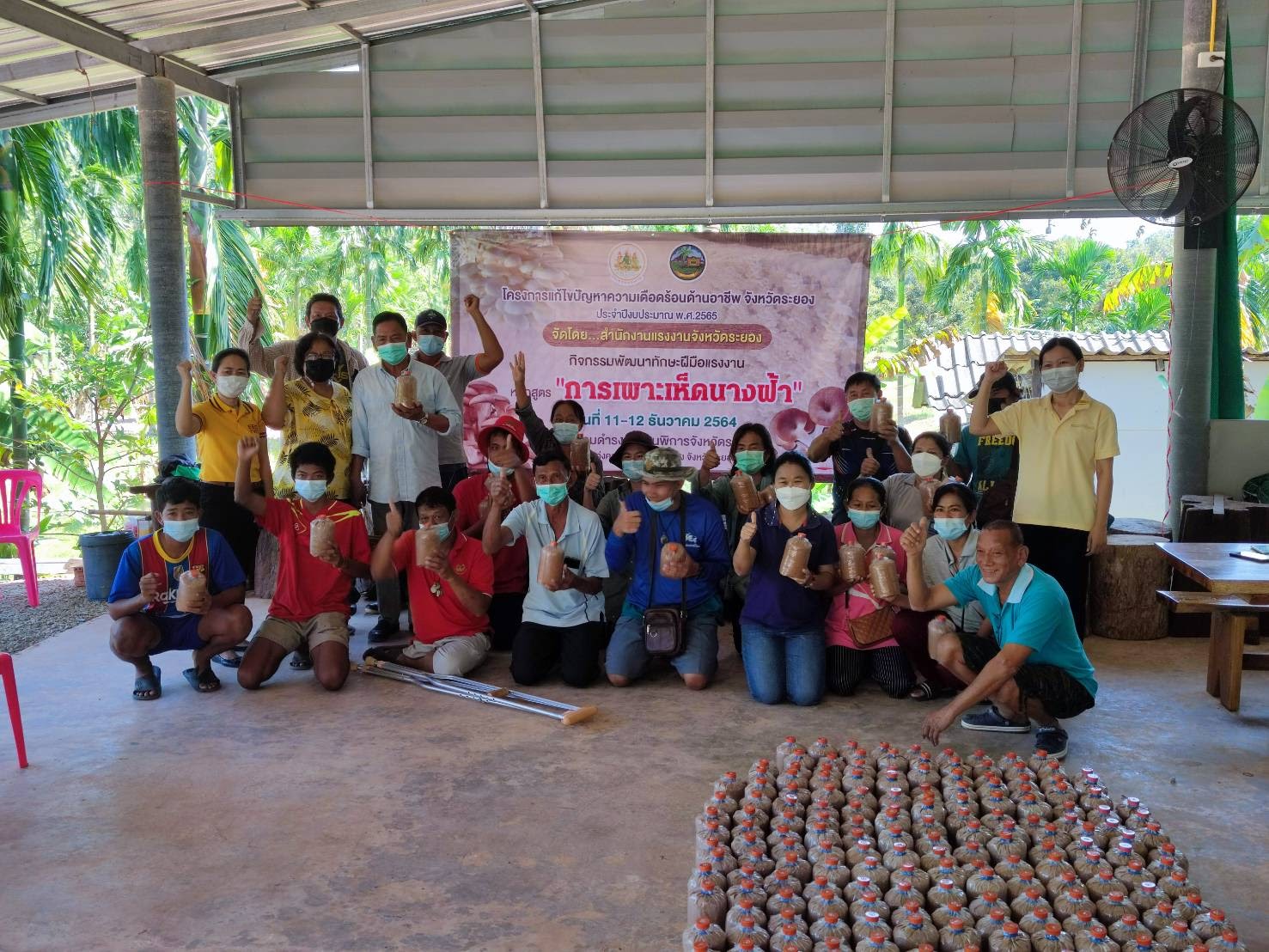 Mol-Thailand